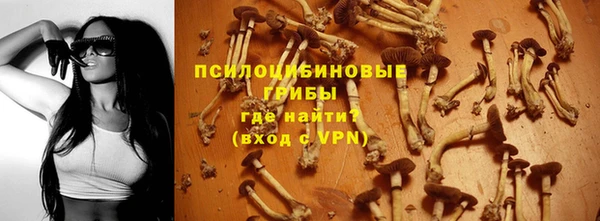 метадон Магас