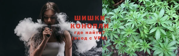 мдпв Майский