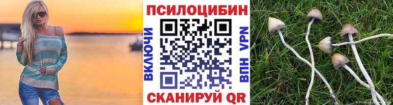 купить наркотики цена  Сыктывкар  Псилоцибиновые грибы прущие грибы 